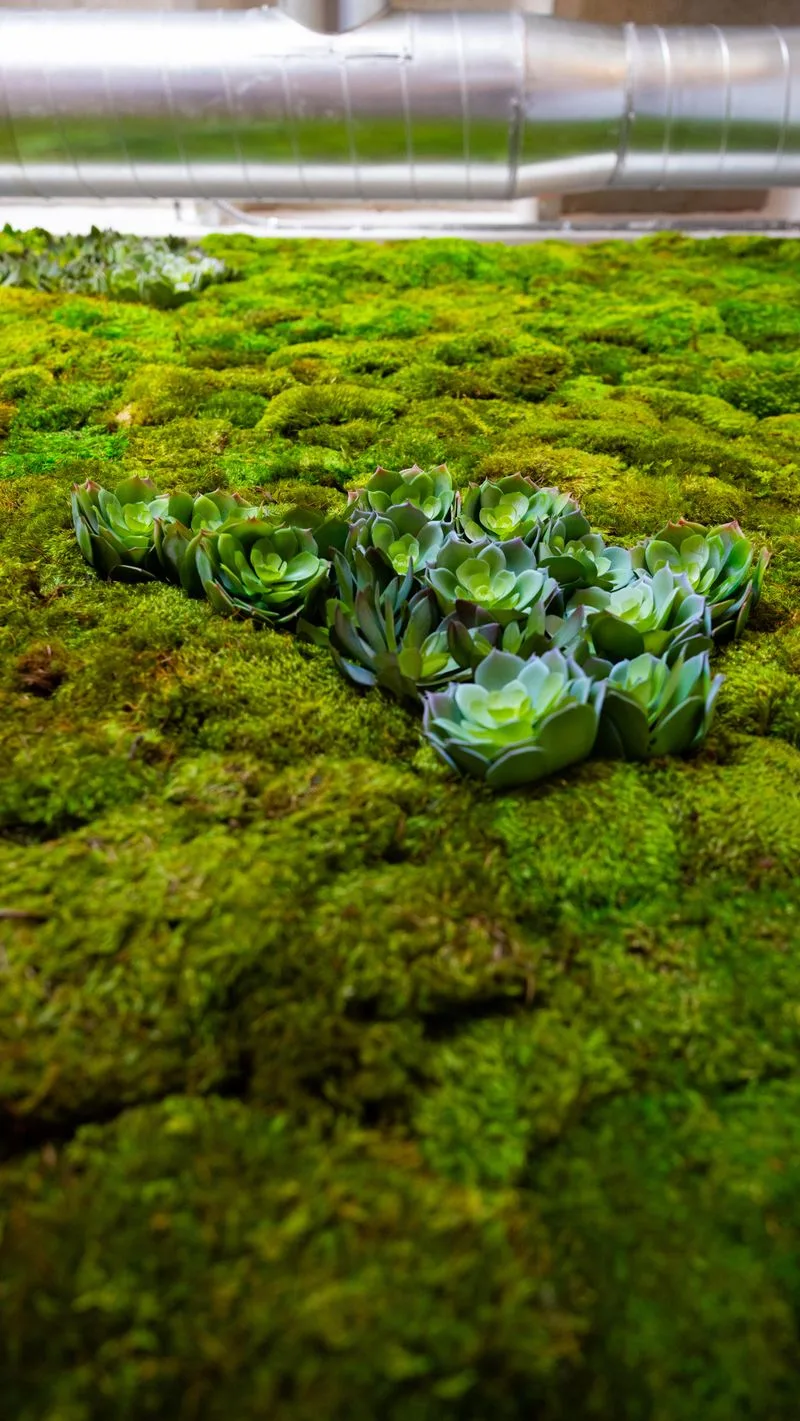 Watering Techniques