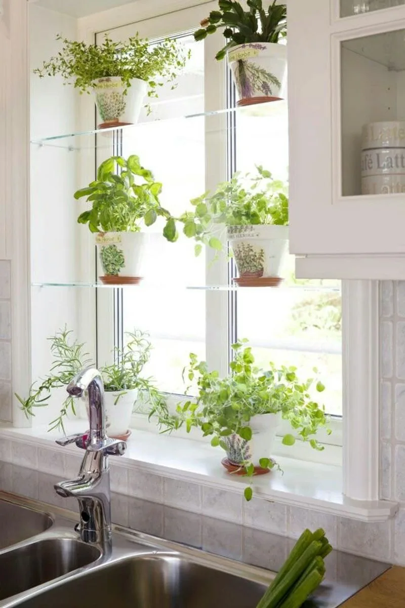 Watering Wisely