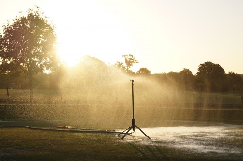 Watering at Dawn or Dusk