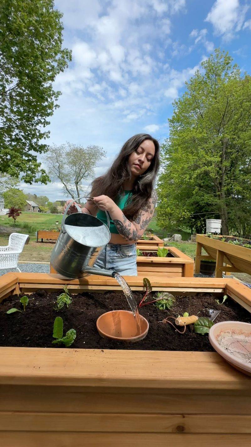 Watering at the Wrong Time