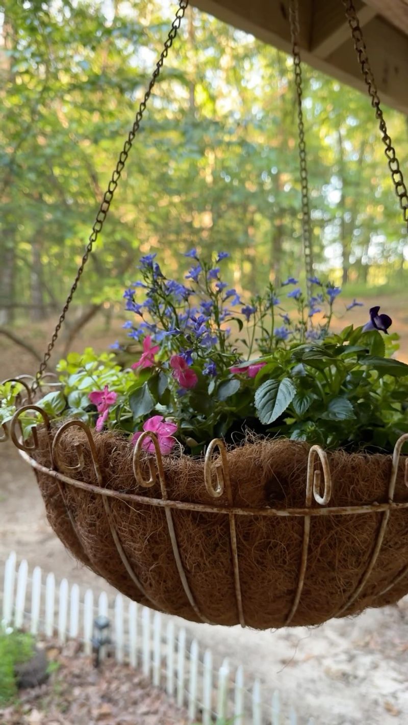 Whisk Hanging Planter