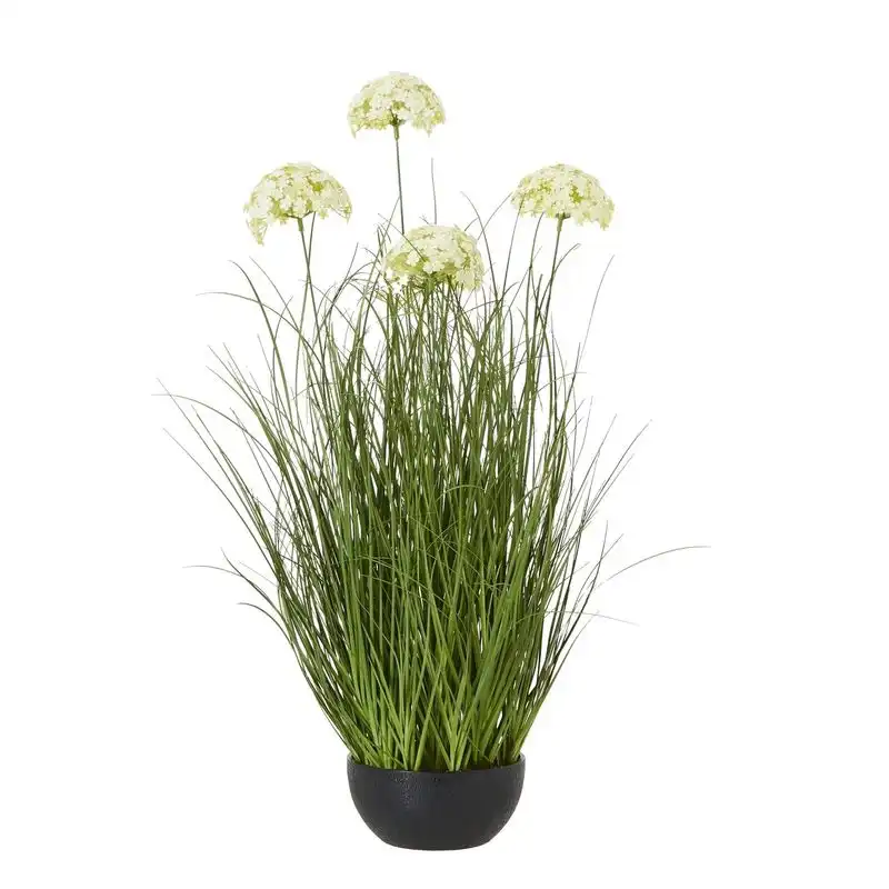 White Allium