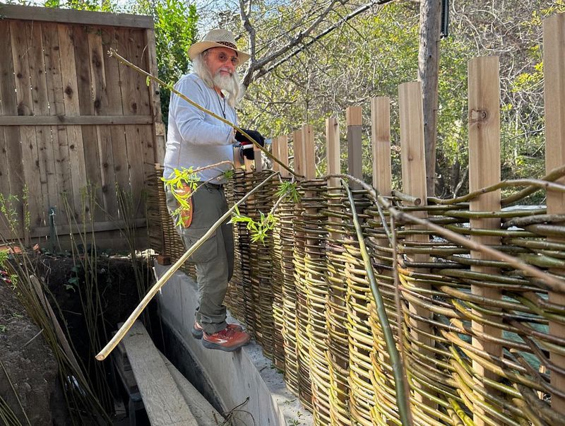 Wicker Fencing