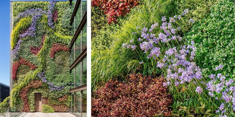 Living Walls