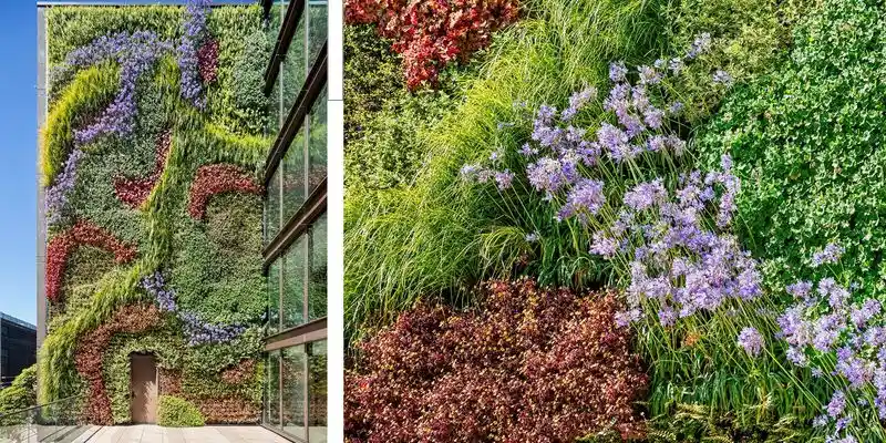 Living Walls