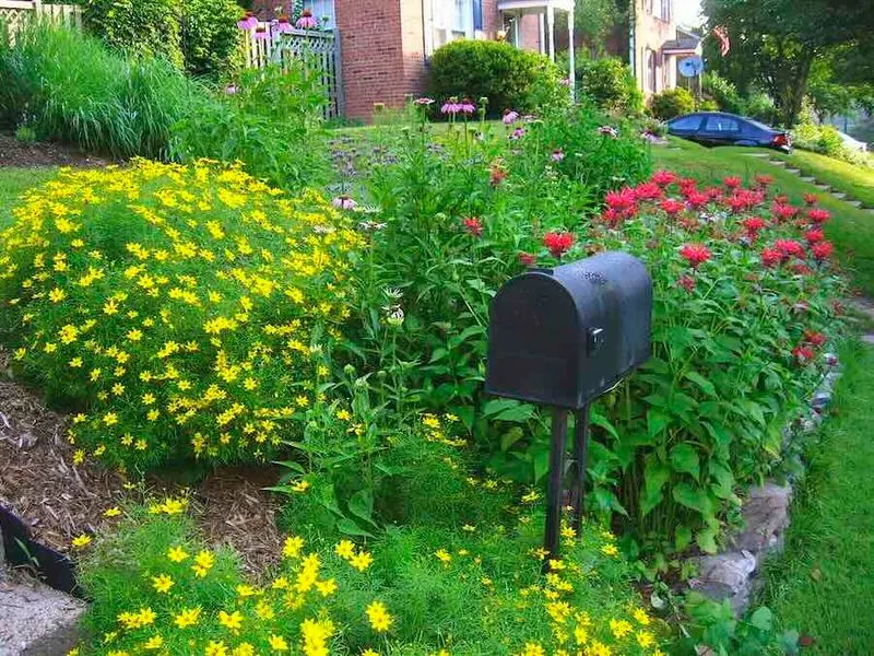 Wildflowers' Symphony