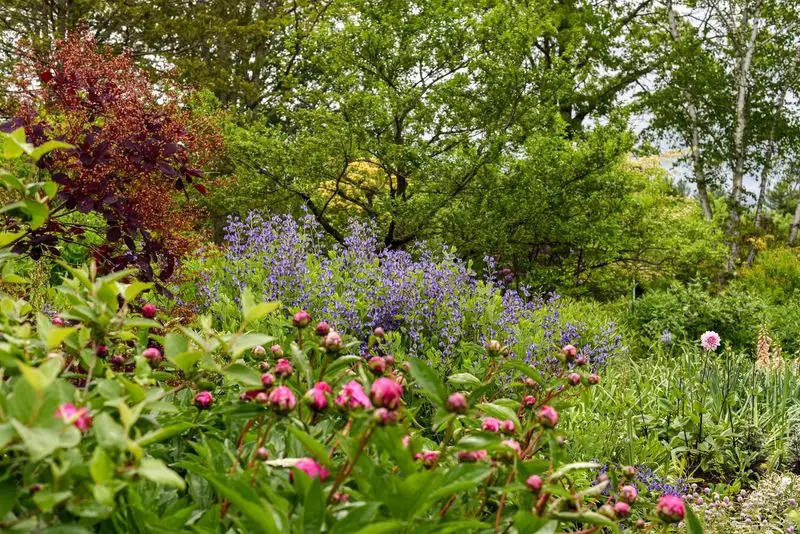 Wildlife Gardens