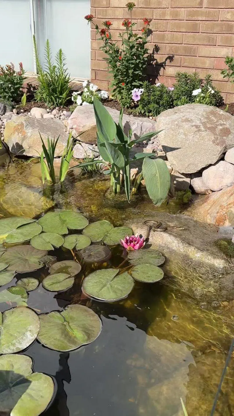 Wildlife Ponds