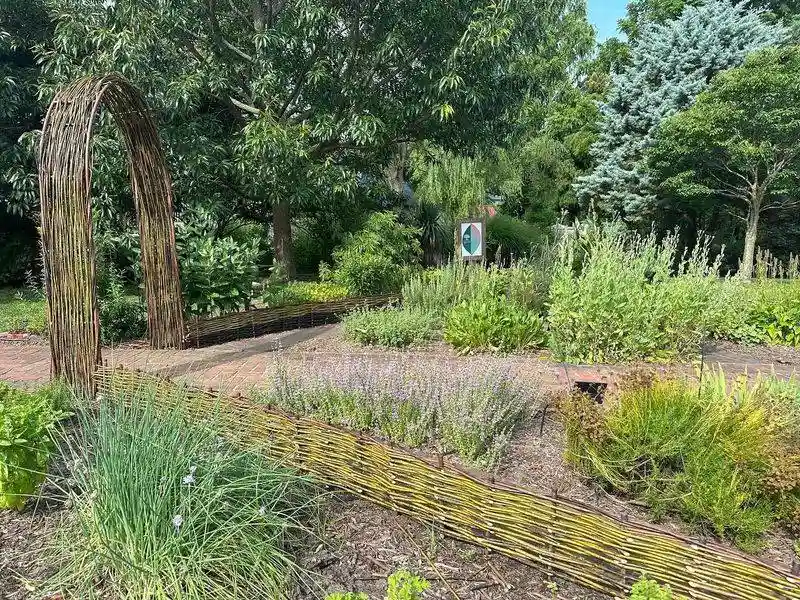 Willow Weaving