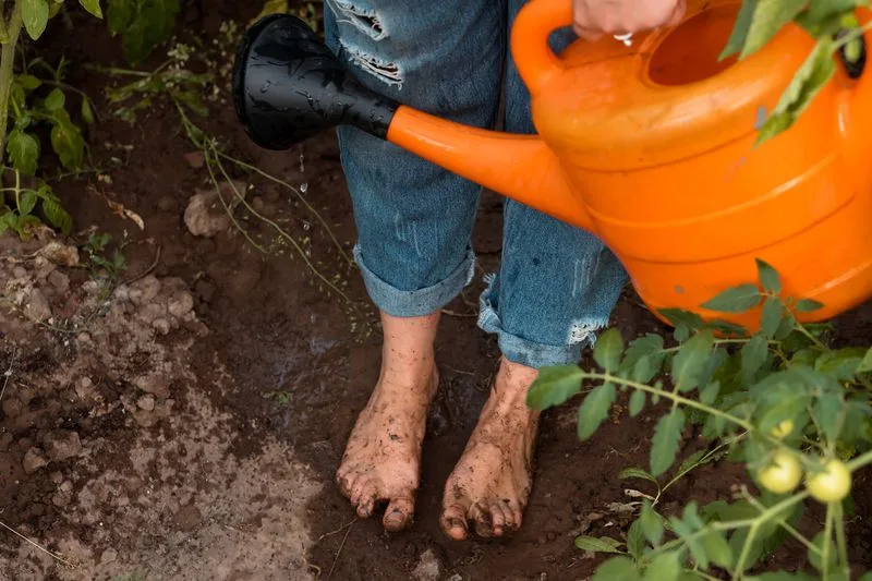 Wilting Despite Water