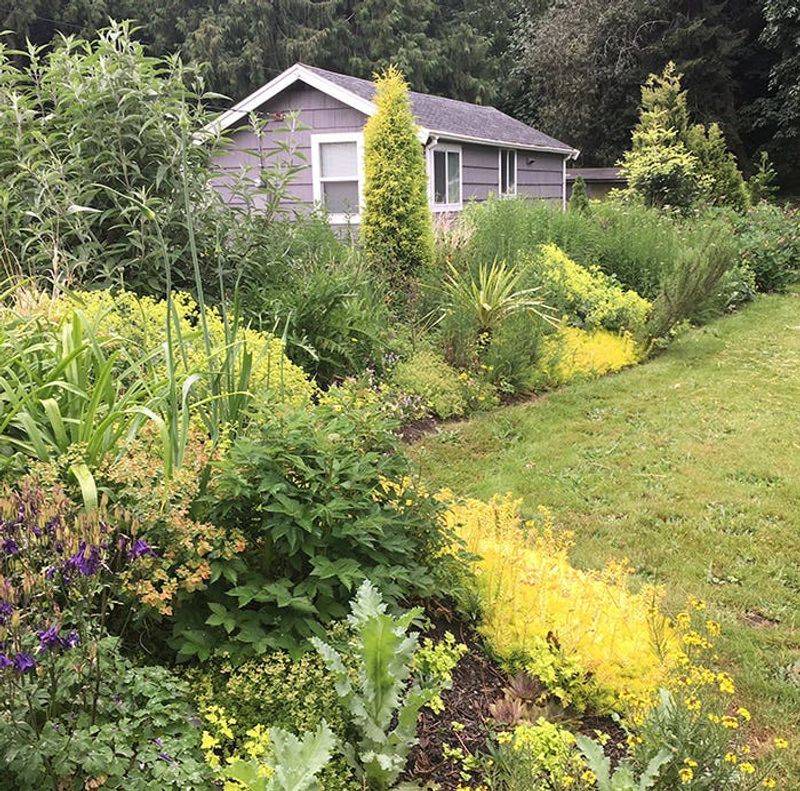 Windbreaks and Shelterbelts