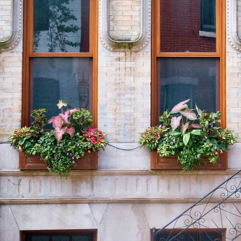 Window Box Planter