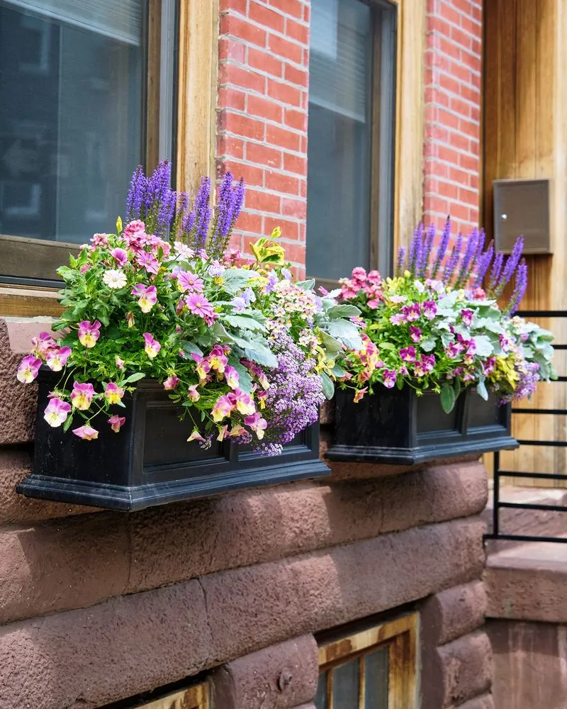Window Box Planters