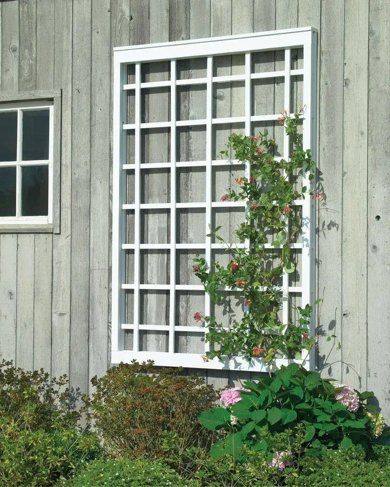 Window Frame Trellis