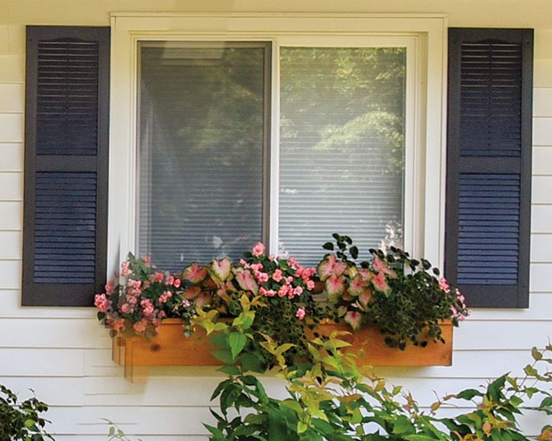 Window Shutters
