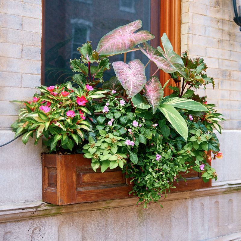 Windowsill Planter Box