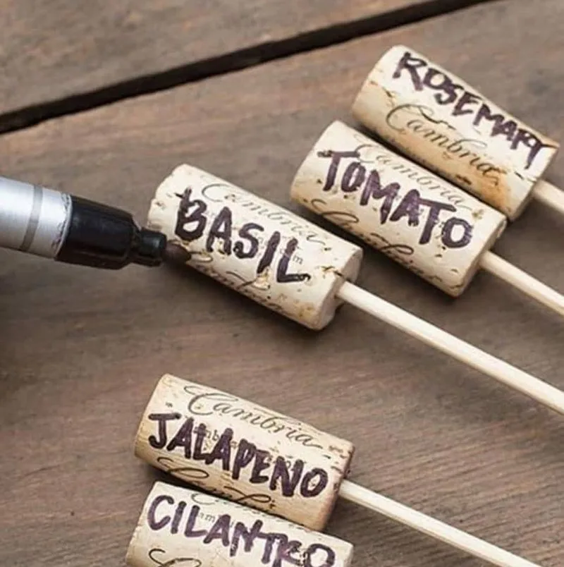 Wine Corks