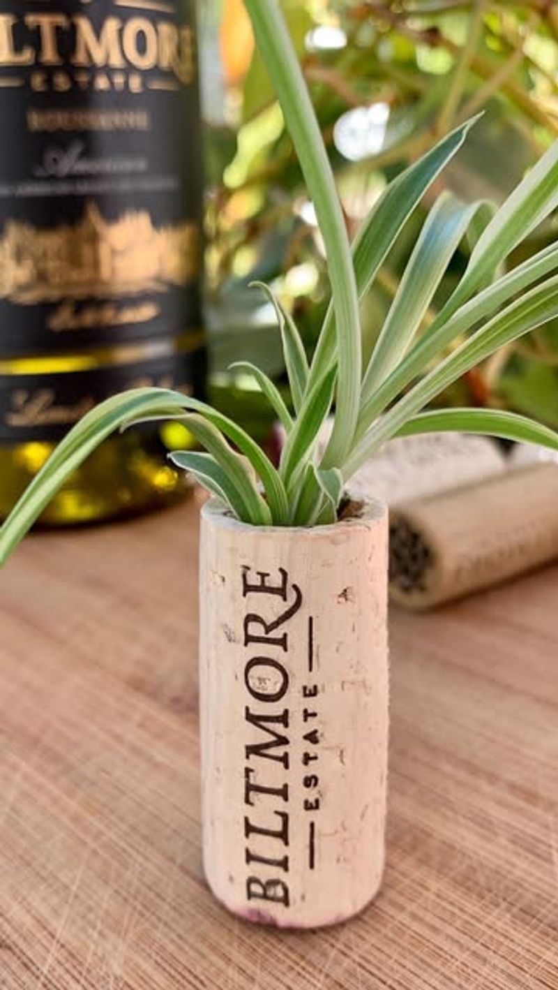 Wine Corks