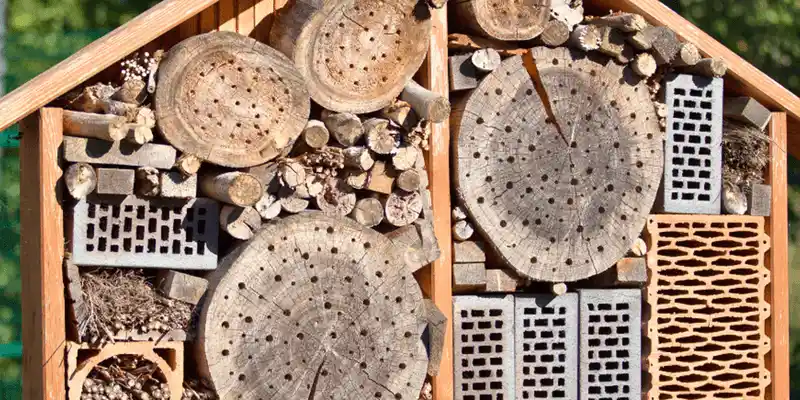 Winter Shelter for Insects