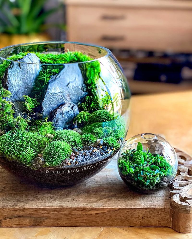 Winter Wonderland Terrarium