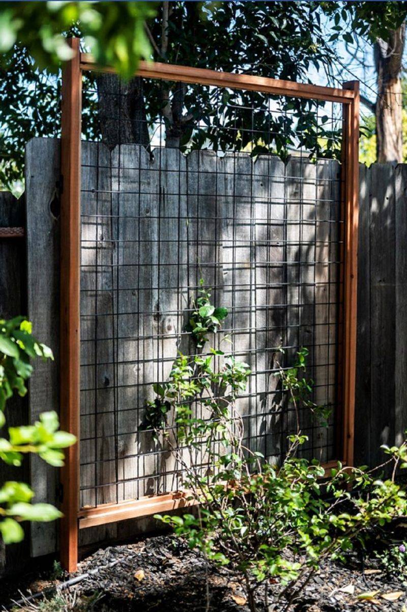 Wire Mesh Trellis