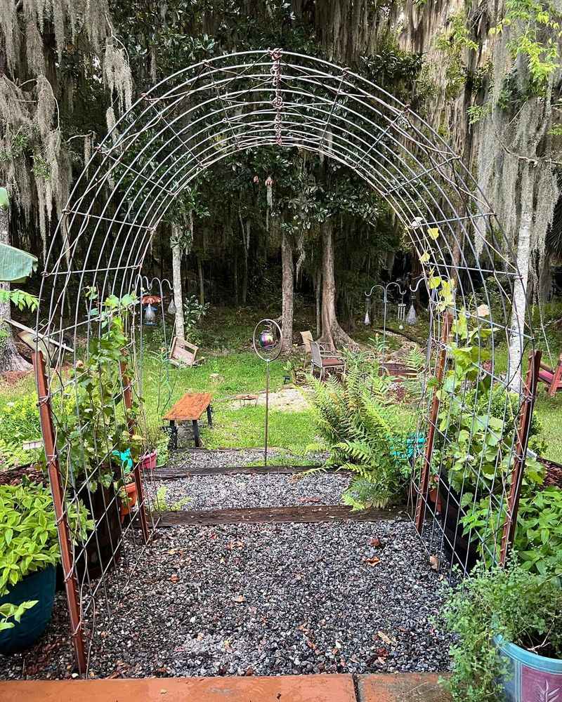 Wire Mesh Trellis