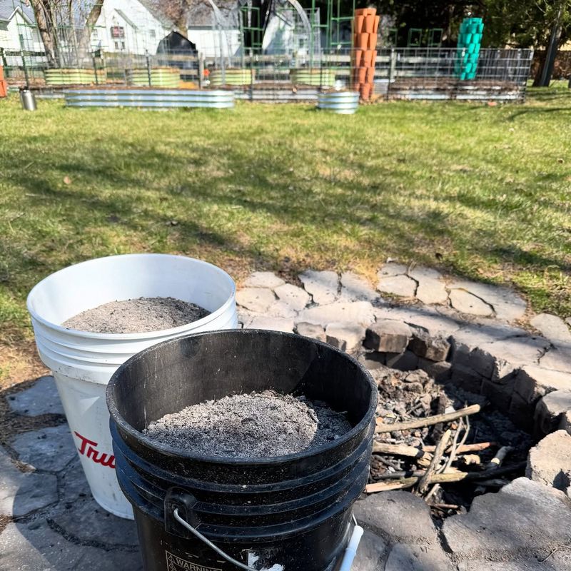 Wood Ash