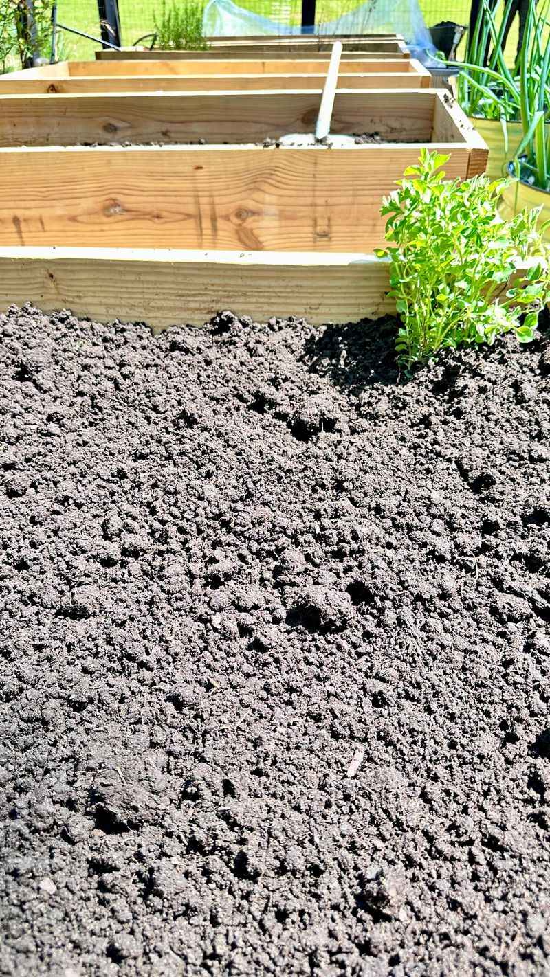 Wood Ash