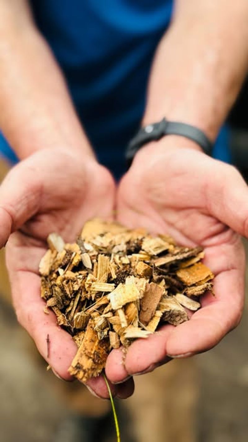 Wood Chips