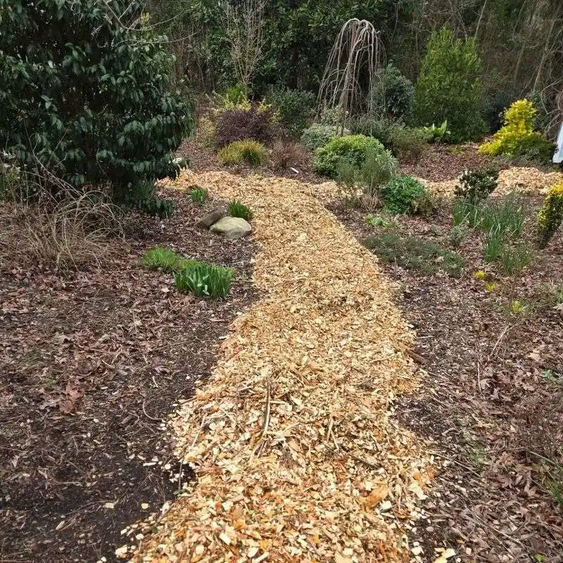 Wood Chips