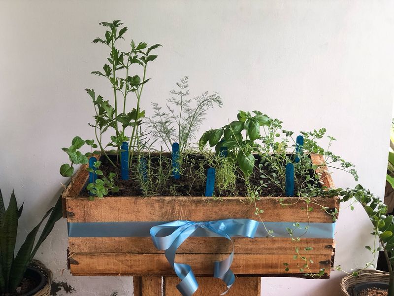 Wooden Crates