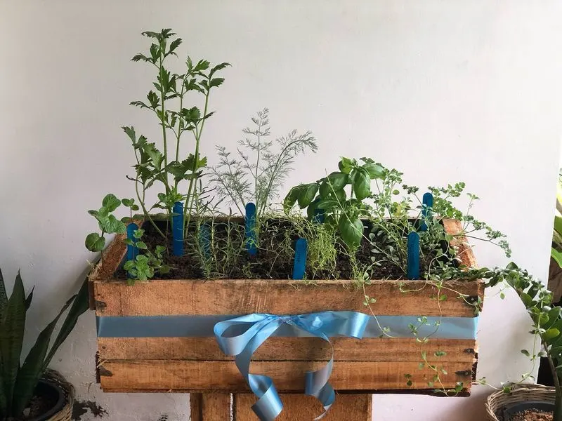 Wooden Crates