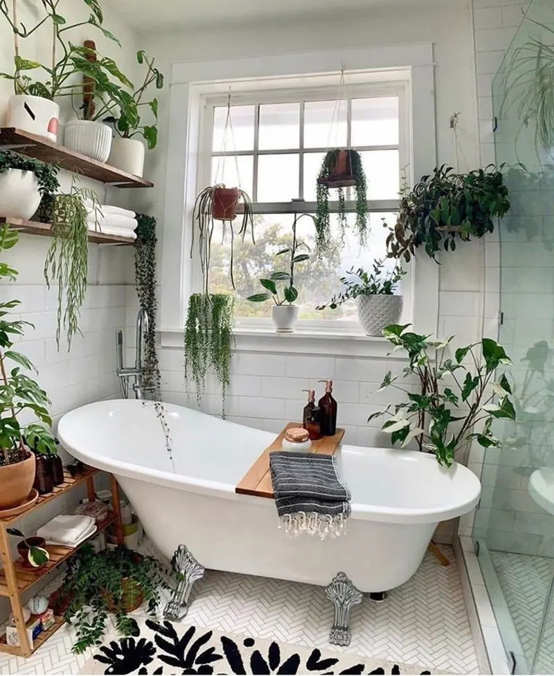 ZZ Plant