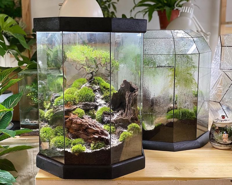 Zen Rock Garden Terrarium