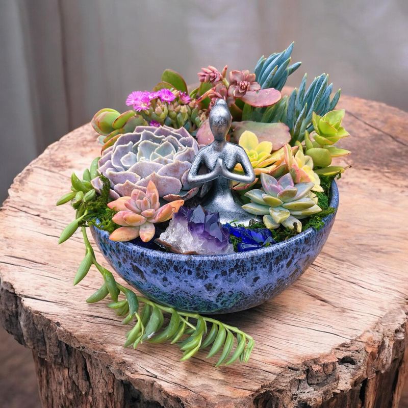 Zen Succulent Garden