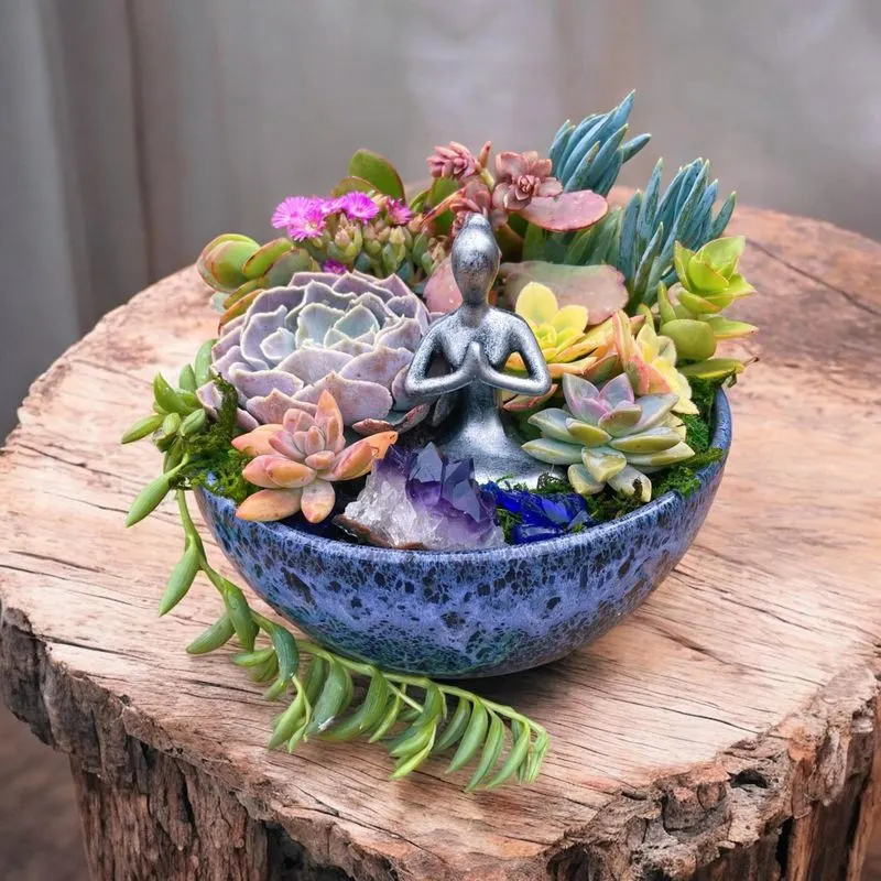 Zen Succulent Garden