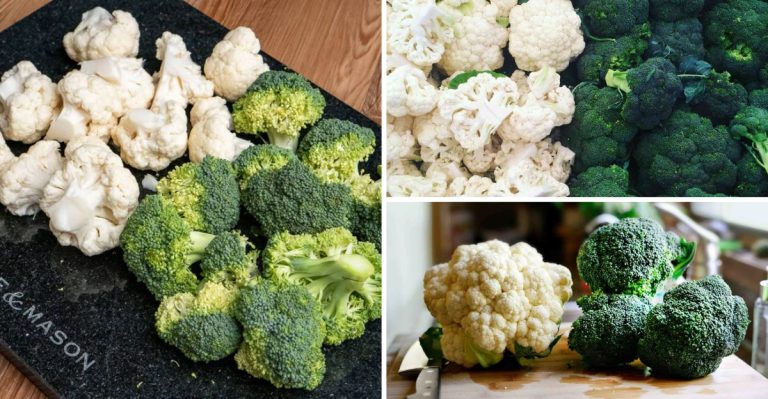 Broccoli vs Cauliflower: 11 Differences That Actually Matter