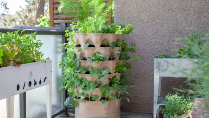 Forget Straight Rows—Your Vegetables Will Thank You