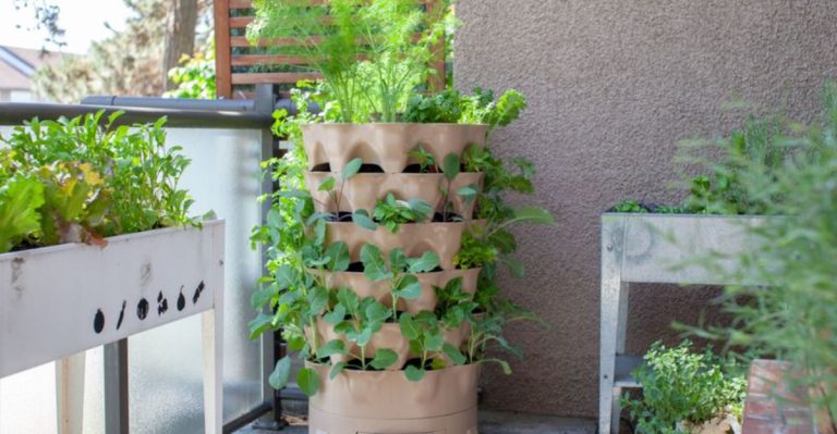 Forget Straight Rows—Your Vegetables Will Thank You