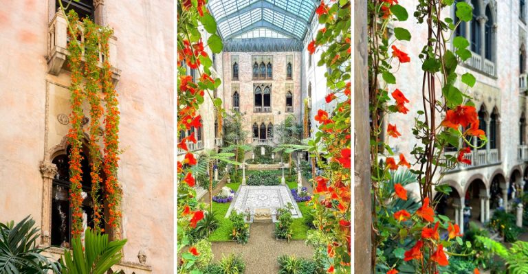 How Cascades of Orange Nasturtium Vines Are Transforming Boston’s Views