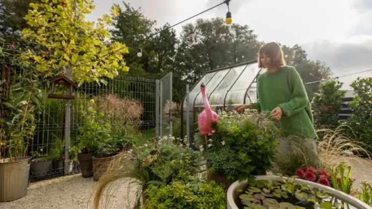 How I Noticed Plants Sleep Differently on Windy Nights