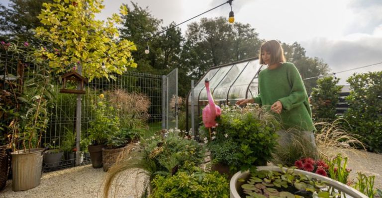 How I Noticed Plants Sleep Differently on Windy Nights