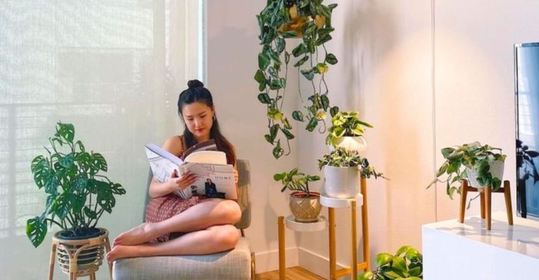 How I Trained My Houseplants to Thrive on Less Light