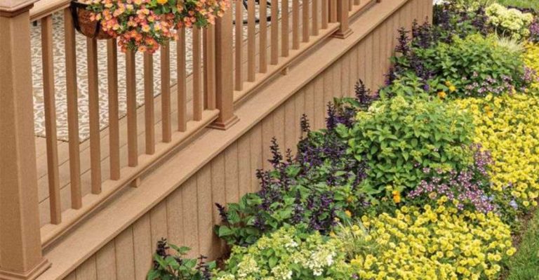 How I Turned My Balcony Into a Year-Round Pollinator Haven