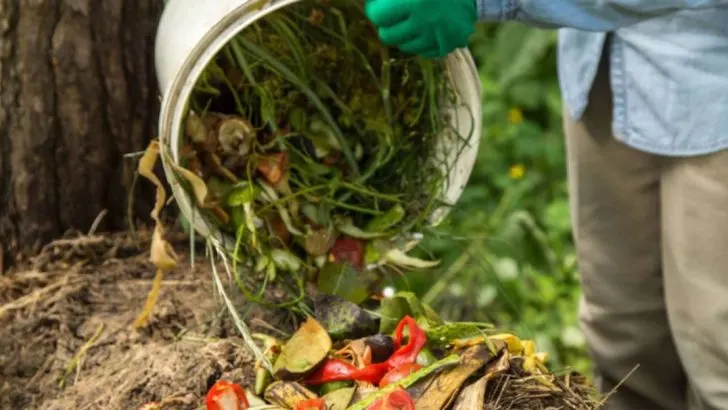How to Build a Fungi-Friendly Compost Pile