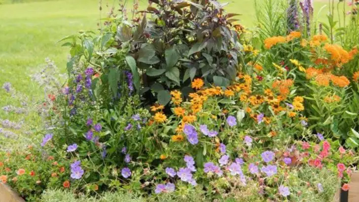 How to Build a Pollinator-Friendly Garden That Thrives All Season