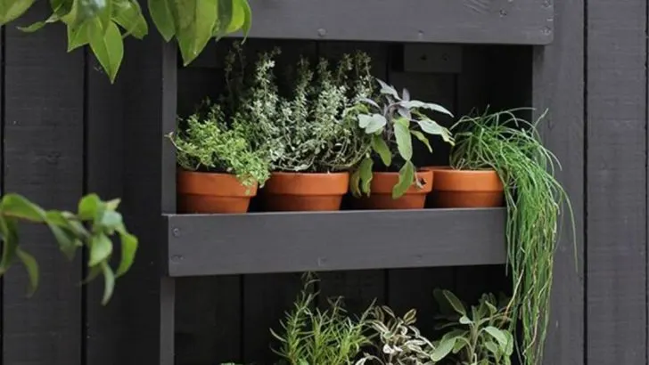 How to Create a Vertical Garden in Small Spaces: 10 Easy Steps