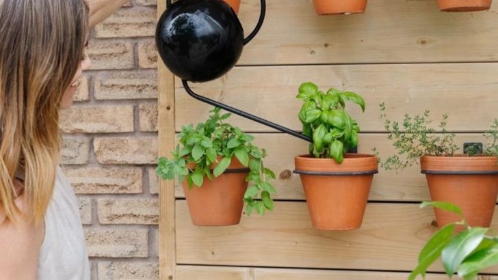 How to Create a Year-Round Indoor Herb Wall