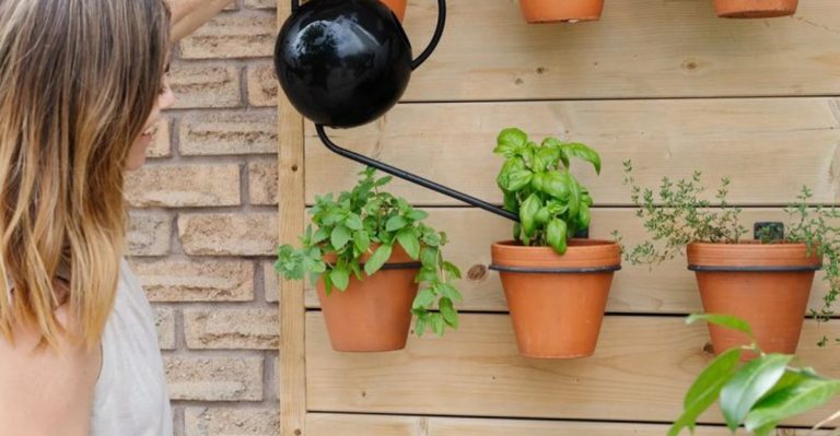 How to Create a Year-Round Indoor Herb Wall