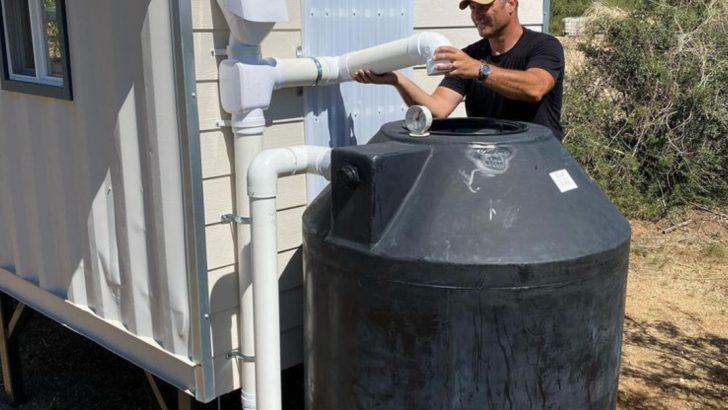 How to Harvest Rainwater to Boost Plant Growth